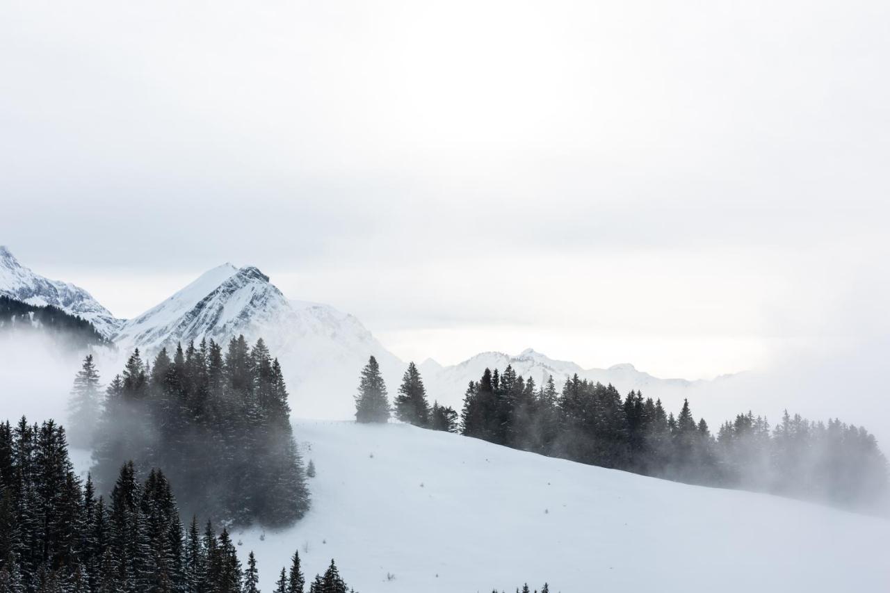 Chalet-Hotel Beau-Site Adelboden Ngoại thất bức ảnh